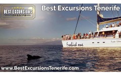 Freebird Catamaran (4.5 Hours)